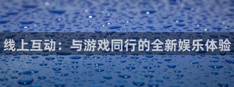 金年汇APP的最新版本更新内容分享