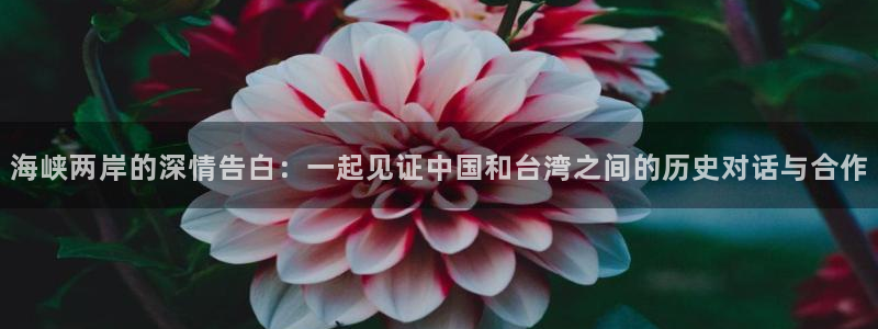 关于蓝鲸的视频：海峡两岸的深情告白：一起见证中国和台湾之间的历史对话与合作