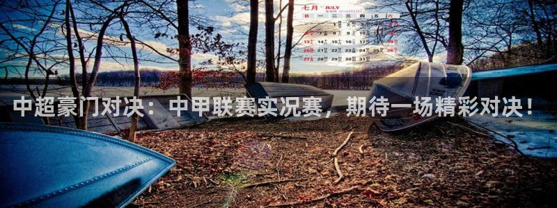 蓝鲸直播男同：中超豪门对决：中甲联赛实况赛，期待一场精彩对决！