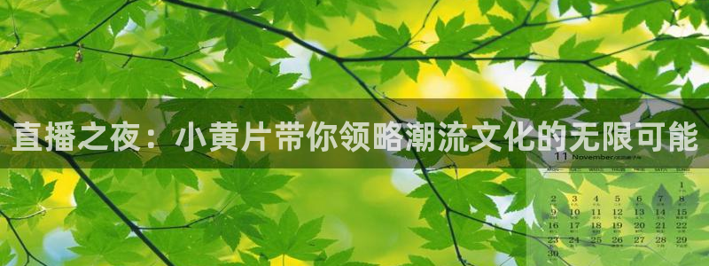 蓝鲸体育直播app：直播之夜：小黄片带你领略潮流文化的无限可能