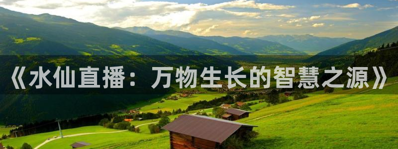 蓝鲸直播安卓版：《水仙直播：万物生长的智慧之源》