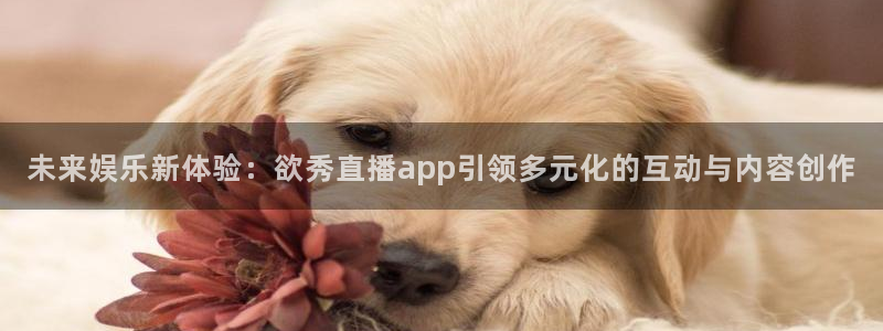 蓝鲸体育ufc直播：未来娱乐新体验：欲秀直播app引领多元化的互动与内容创作