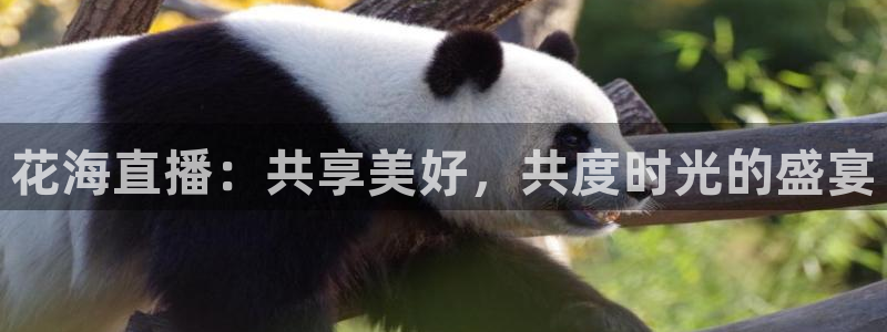 蓝鲸直播app
