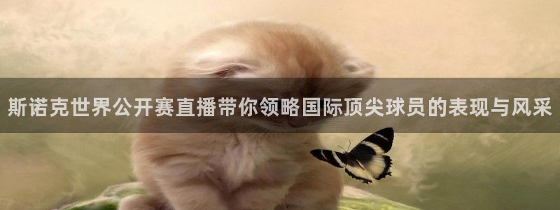 蓝鲸直播体育直播在线观看：斯诺克世界公开赛直播带你领略国际顶尖球员的表现与风采